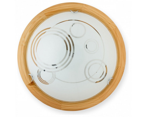 Накладной светильник TopLight Margaret TL9003Y-02PN