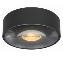 Накладной светильник Lucide Rayen 27120/06/30