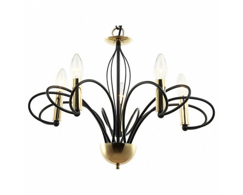 Подвесная люстра Lussole Powell