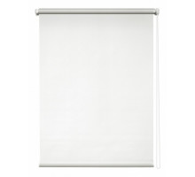 Штора рулонная (52x175 см) Сильвер