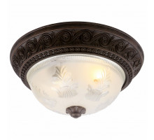 Накладной светильник Arte Lamp Piatti A8006PL-2CK