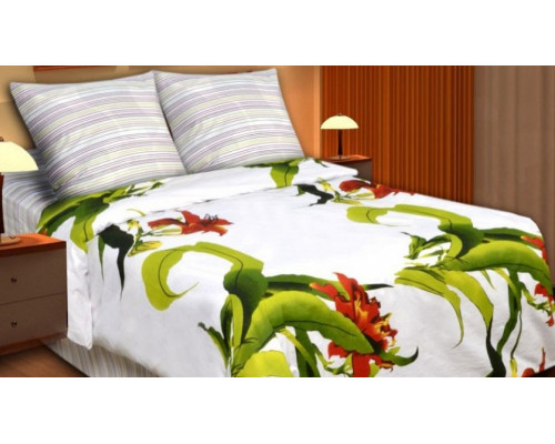 Постельное белье евростандарт Lily