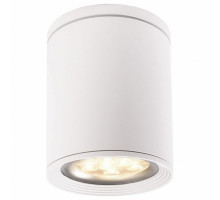 Накладной светильник Deko-Light Tubor 348015