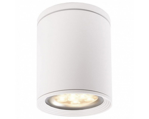 Накладной светильник Deko-Light Tubor 348015