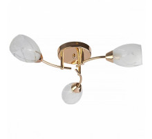 Потолочная люстра TopLight Lucy TL7120X-03FG