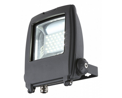 Настенный прожектор Globo Projecteur I 34219