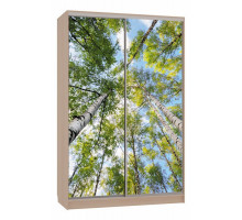 Шкаф-купе Гранд 7-600 57