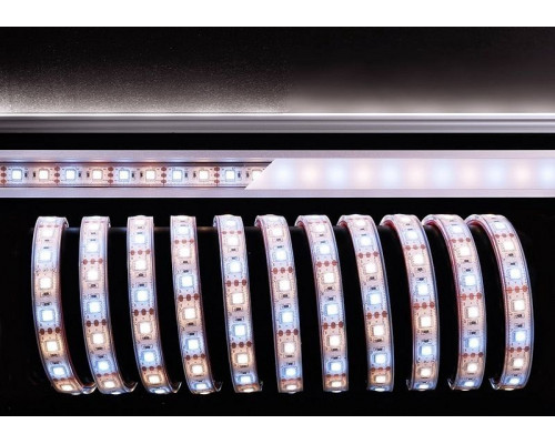 Лента светодиодная [5 м] Deko-Light  840098