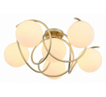Потолочная люстра EVOLUCE Acini SL711.202.06