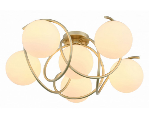 Потолочная люстра EVOLUCE Acini SL711.202.06