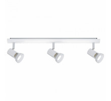 Спот Paulmann Teja 66704