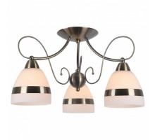 Потолочная люстра Arte Lamp Noemi A6192PL-3AB