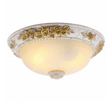 Накладной светильник Arte Lamp Torta A7101PL-2WG