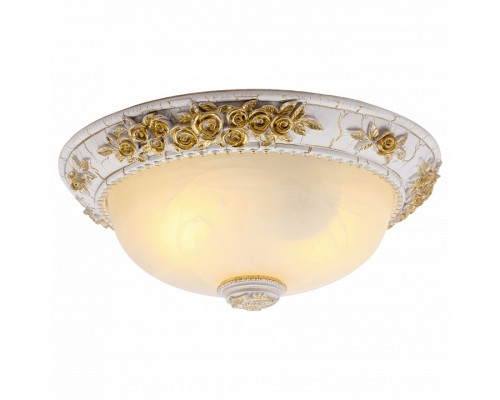 Накладной светильник Arte Lamp Torta A7101PL-2WG