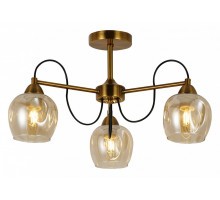 Люстра на штанге EVOLUCE Acro SLE110002-03