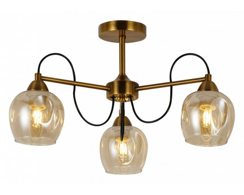 Люстра на штанге EVOLUCE Acro SLE110002-03