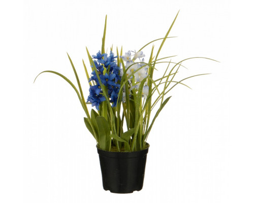Растение в горшке (32 см) Гиацинт 654-191