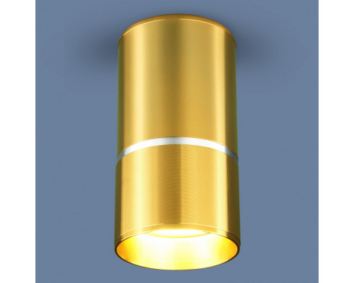 Накладной светильник Elektrostandard DLN106 a047732