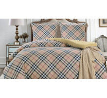 Постельное белье евростандарт CL-366