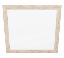 Накладной светильник Eglo ПРОМО Piglionasso 99436