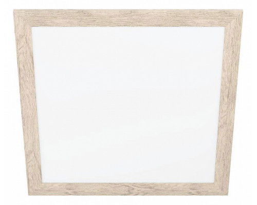 Накладной светильник Eglo ПРОМО Piglionasso 99436