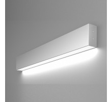 Накладной светильник Elektrostandard LS-02-1 a040131