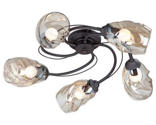 Потолочная люстра Vitaluce  V4927-1/5PL