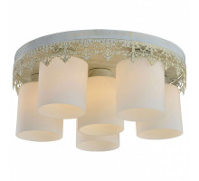 Потолочная люстра Lussole Norwalk 