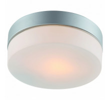 Накладной светильник Arte Lamp Aqua A3211PL-1SI