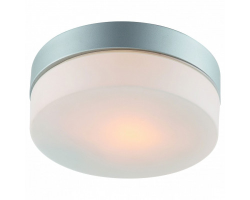 Накладной светильник Arte Lamp Aqua A3211PL-1SI