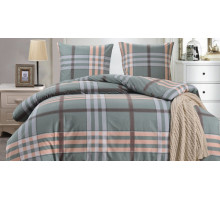 Постельное белье евростандарт CL-413