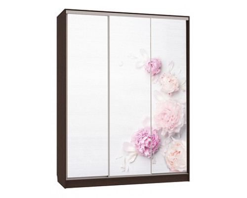 Шкаф-купе Бассо 7-600 17