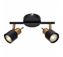 Спот Arte Lamp Almach A1906PL-2BK