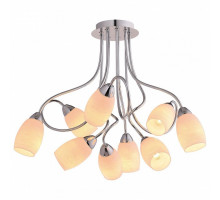 Потолочная люстра Lussole Toledo 