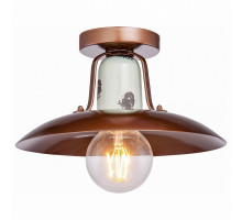 Накладной светильник Lussole Vermilion 