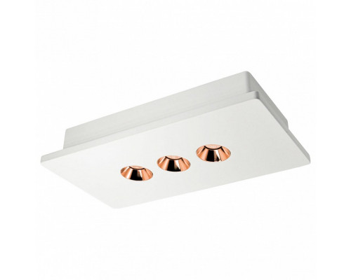 Накладной светильник Loft it Architect OL1072-WG/3