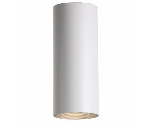 Накладной светильник Favourite Drum 2247-1U