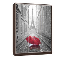 Шкаф-купе Бассо 7-600 08