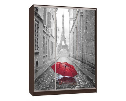 Шкаф-купе Бассо 7-600 08