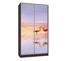 Шкаф-купе Рио 7-600 19