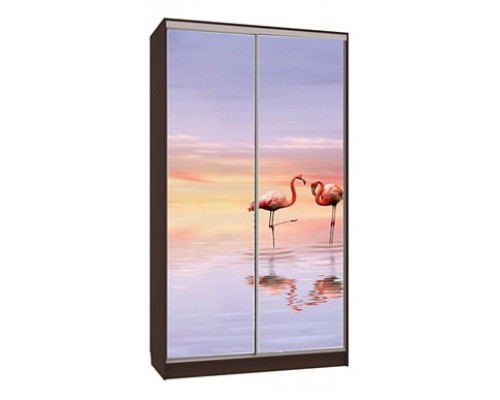 Шкаф-купе Рио 7-600 19