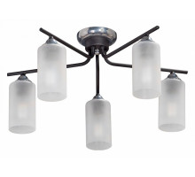 Потолочная люстра Vitaluce V4753 V4753-1/5PL