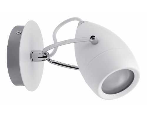 Спот Paulmann Drop 60339