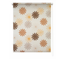 Штора рулонная (50x175 см) Космея