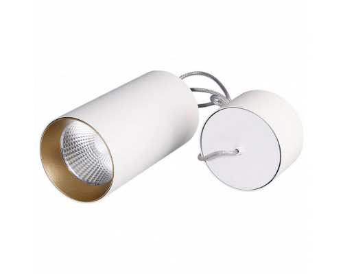 Подвесной светильник Arlight Sp-polo-r85 SP-POLO-R85-2-15W Day White 40deg (White, Gold Ring)