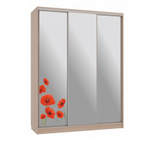 Шкаф-купе Бассо 4-600 маки