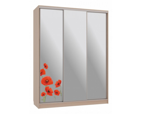 Шкаф-купе Бассо 4-600 маки