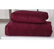 Полотенце для лица (45x60 см) Apollo