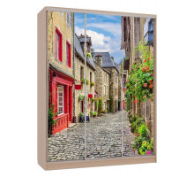 Шкаф-купе Бассо 7-600 Европа