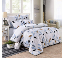 Постельное белье евростандарт Евелина